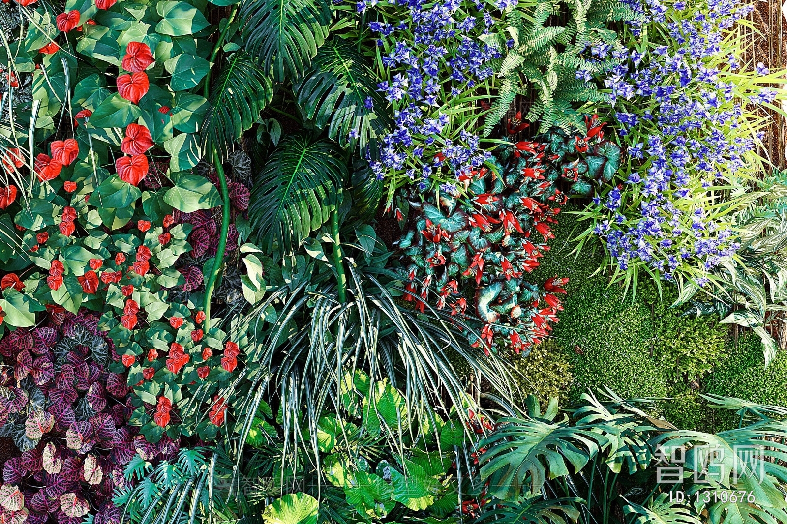 Modern Plant Wall