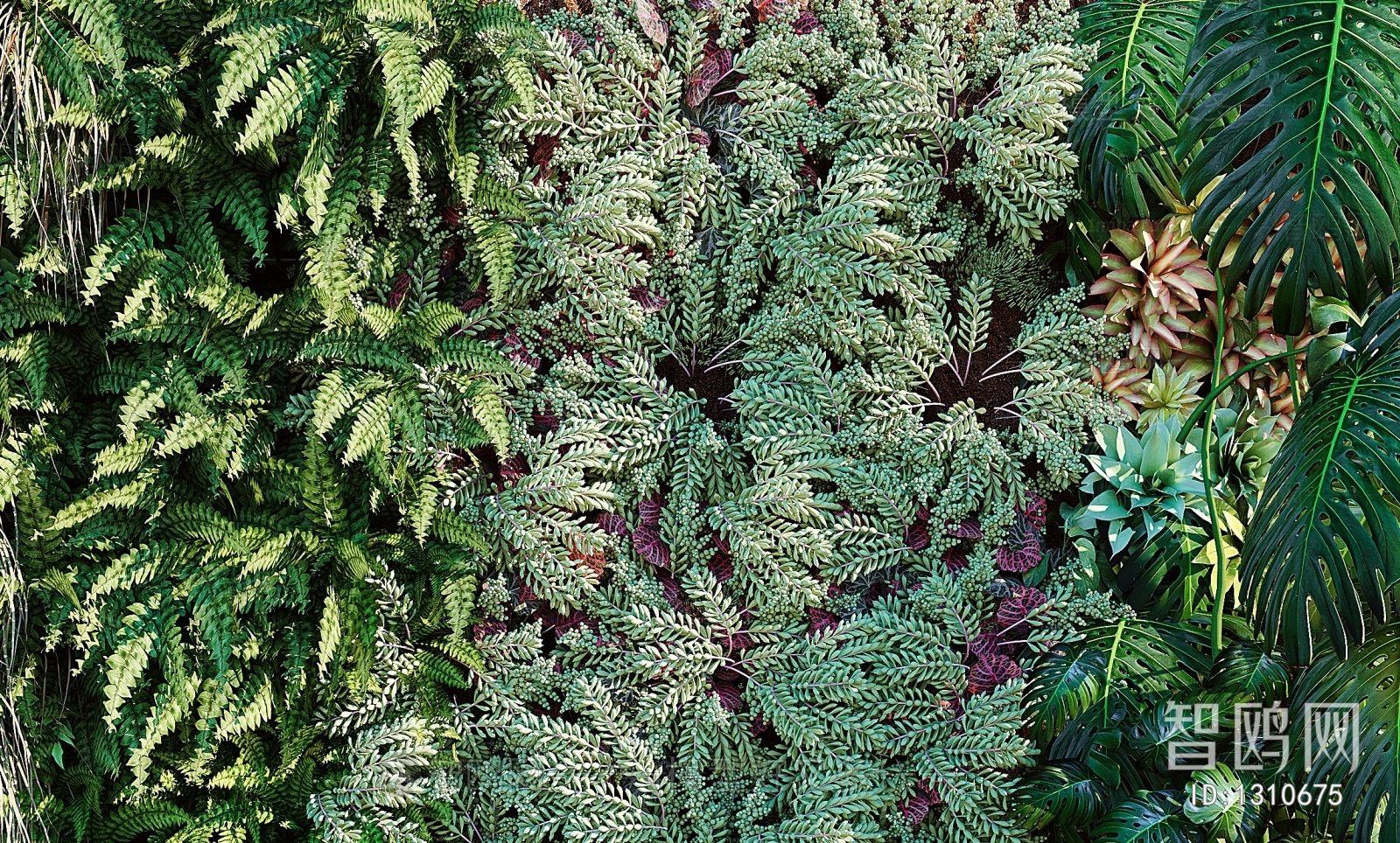 Modern Plant Wall