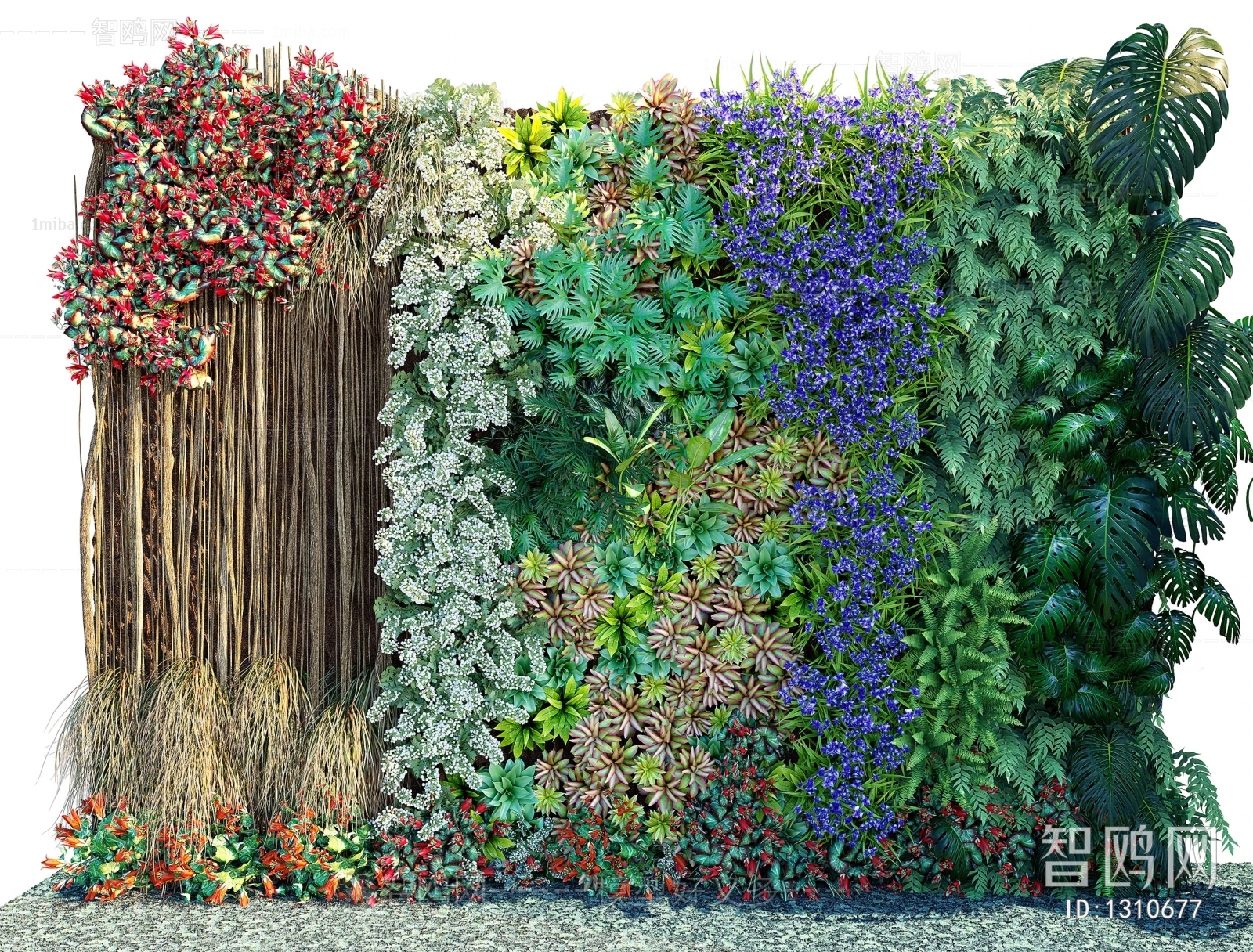 Modern Plant Wall