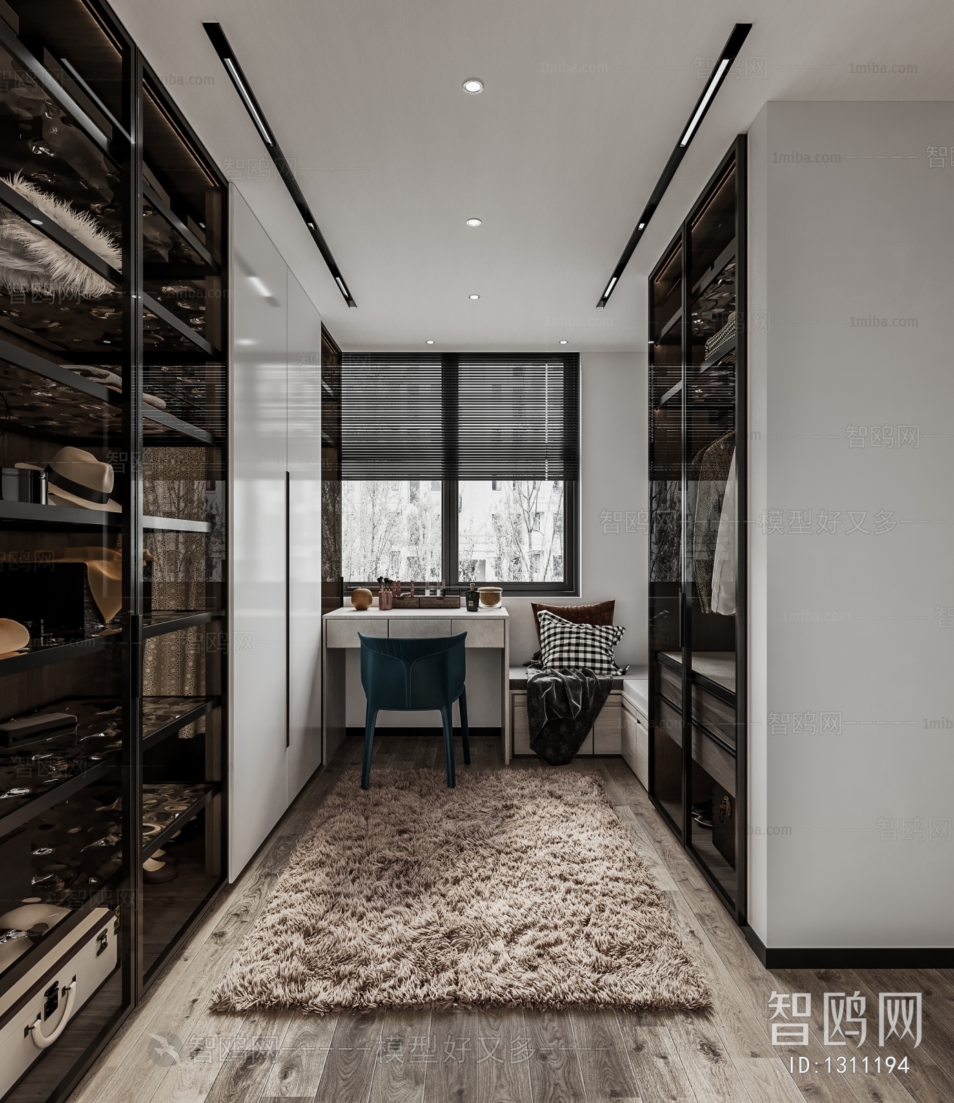 Modern Clothes Storage Area