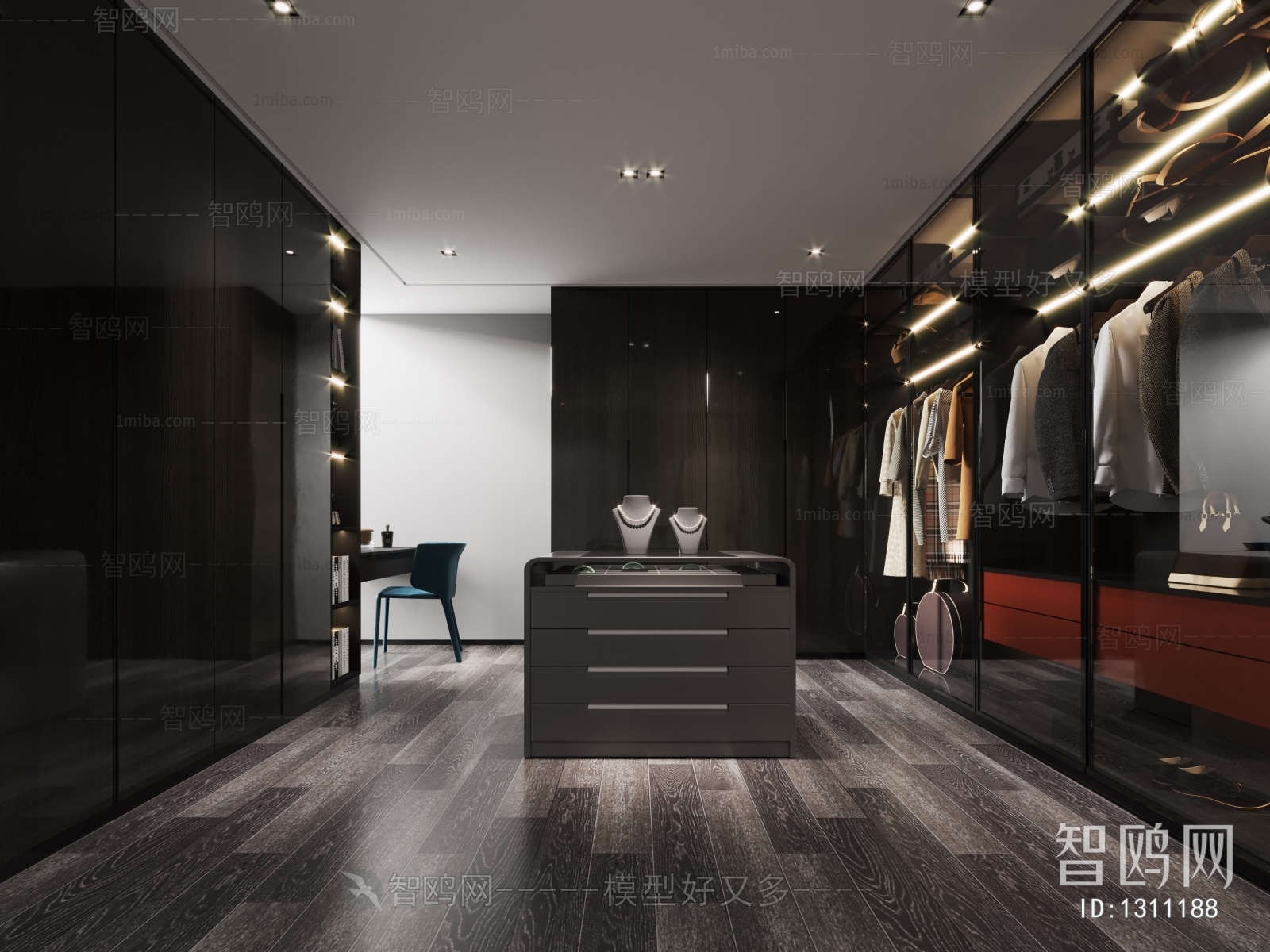 Modern Clothes Storage Area