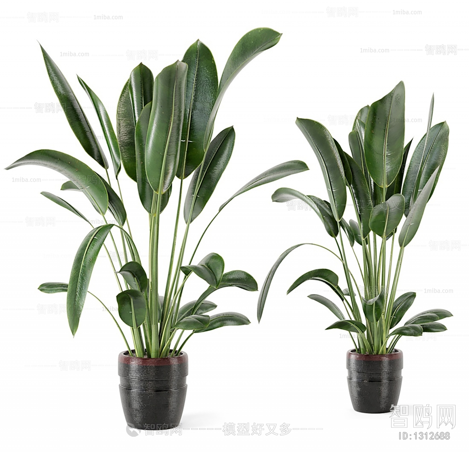 Modern Potted Green Plant