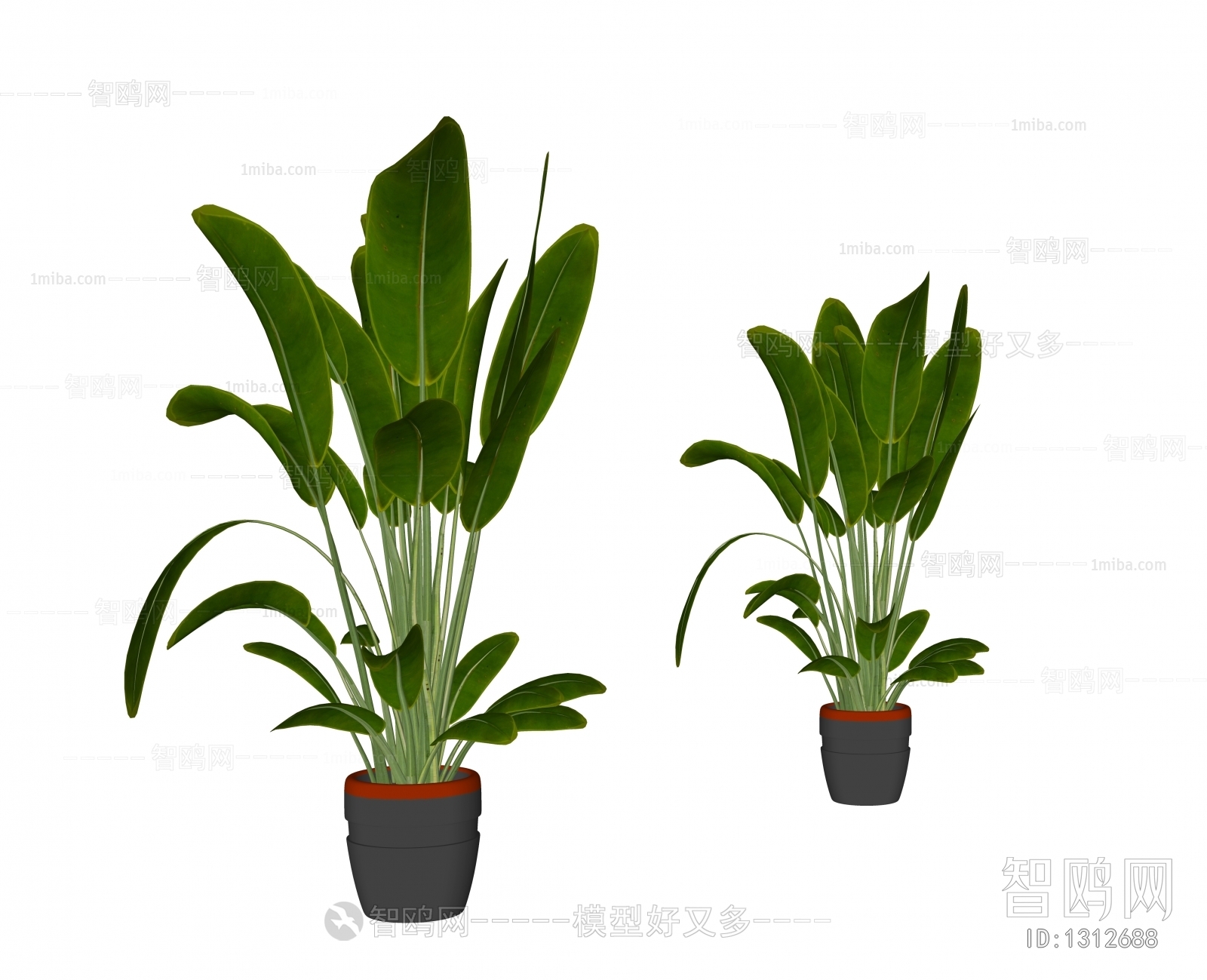 Modern Potted Green Plant