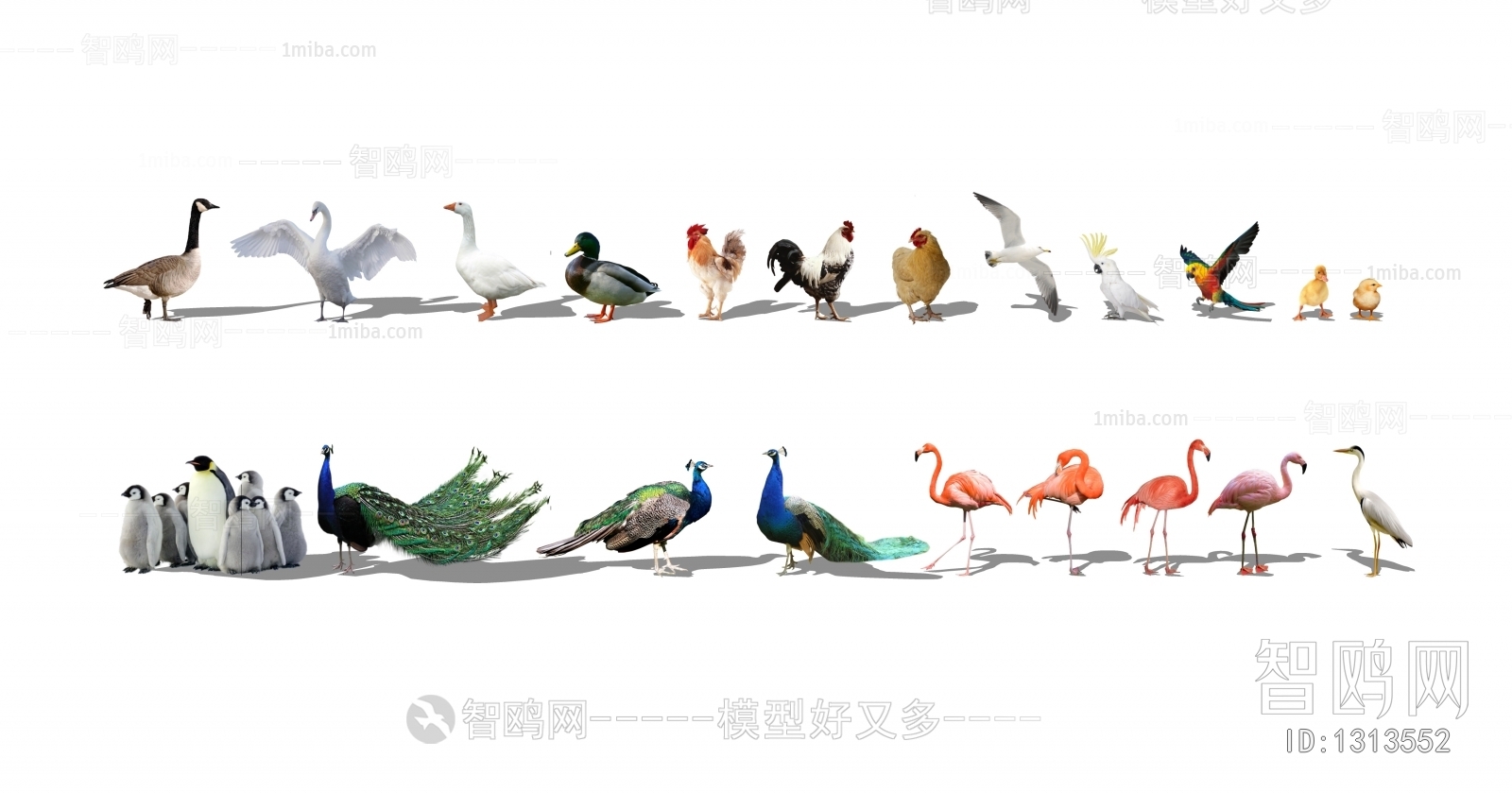现代动物鸟类家禽 孔雀鸡鸭鹅3D模型下载