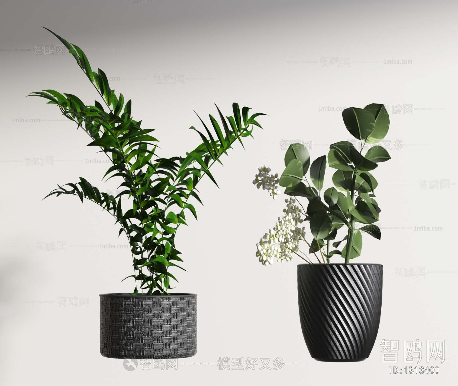 Modern Potted Green Plant