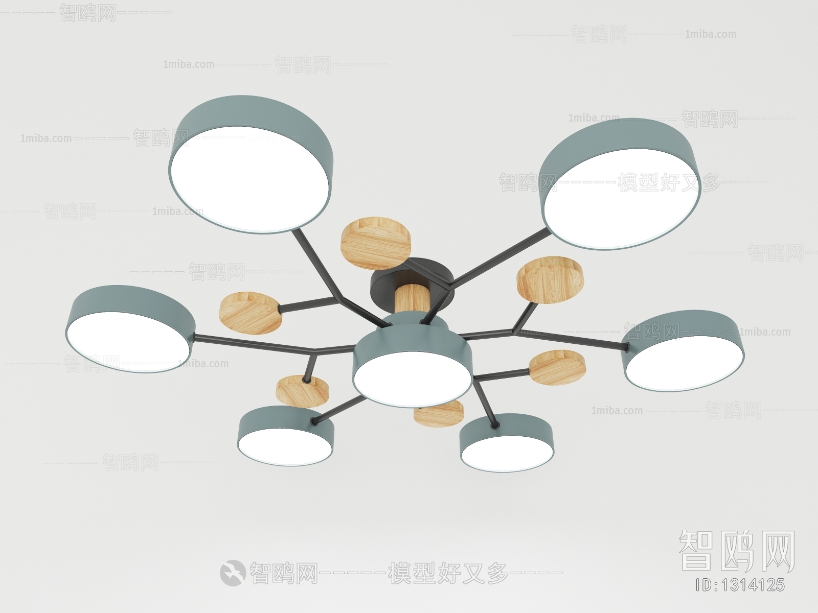 Modern Ceiling Ceiling Lamp