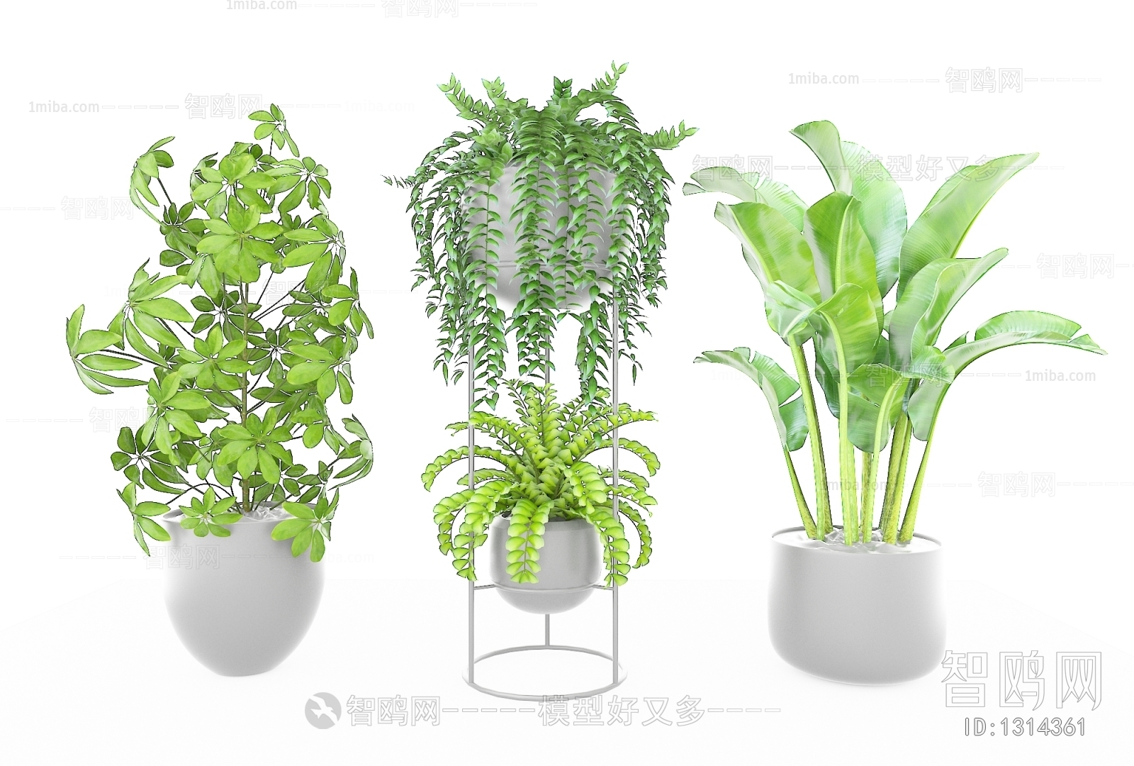 Modern Potted Green Plant