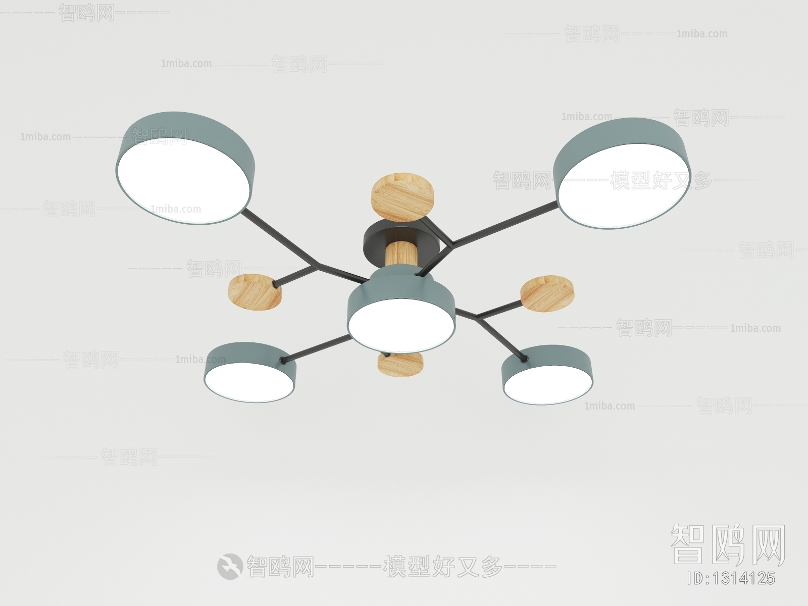 Modern Ceiling Ceiling Lamp