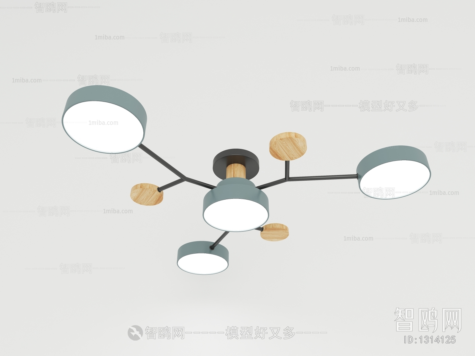 Modern Ceiling Ceiling Lamp