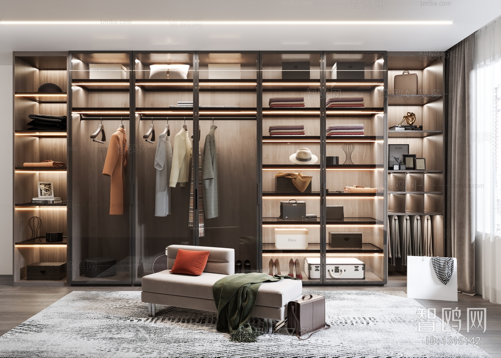 Modern Clothes Storage Area