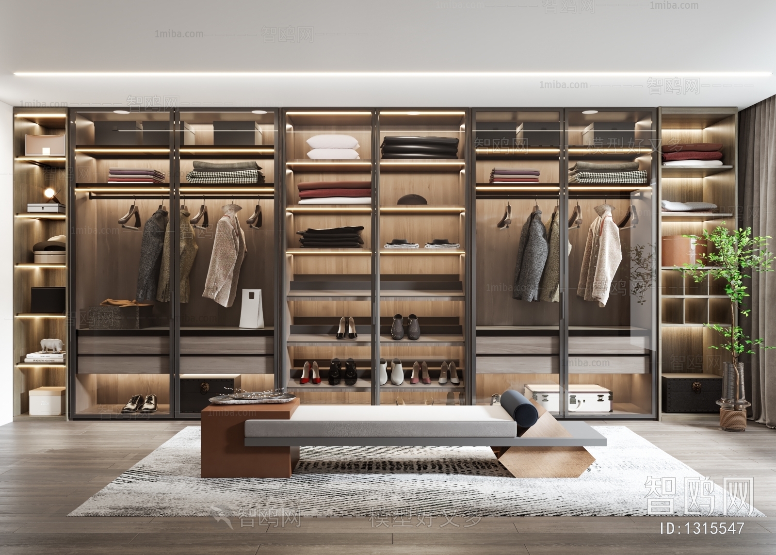 Modern Clothes Storage Area