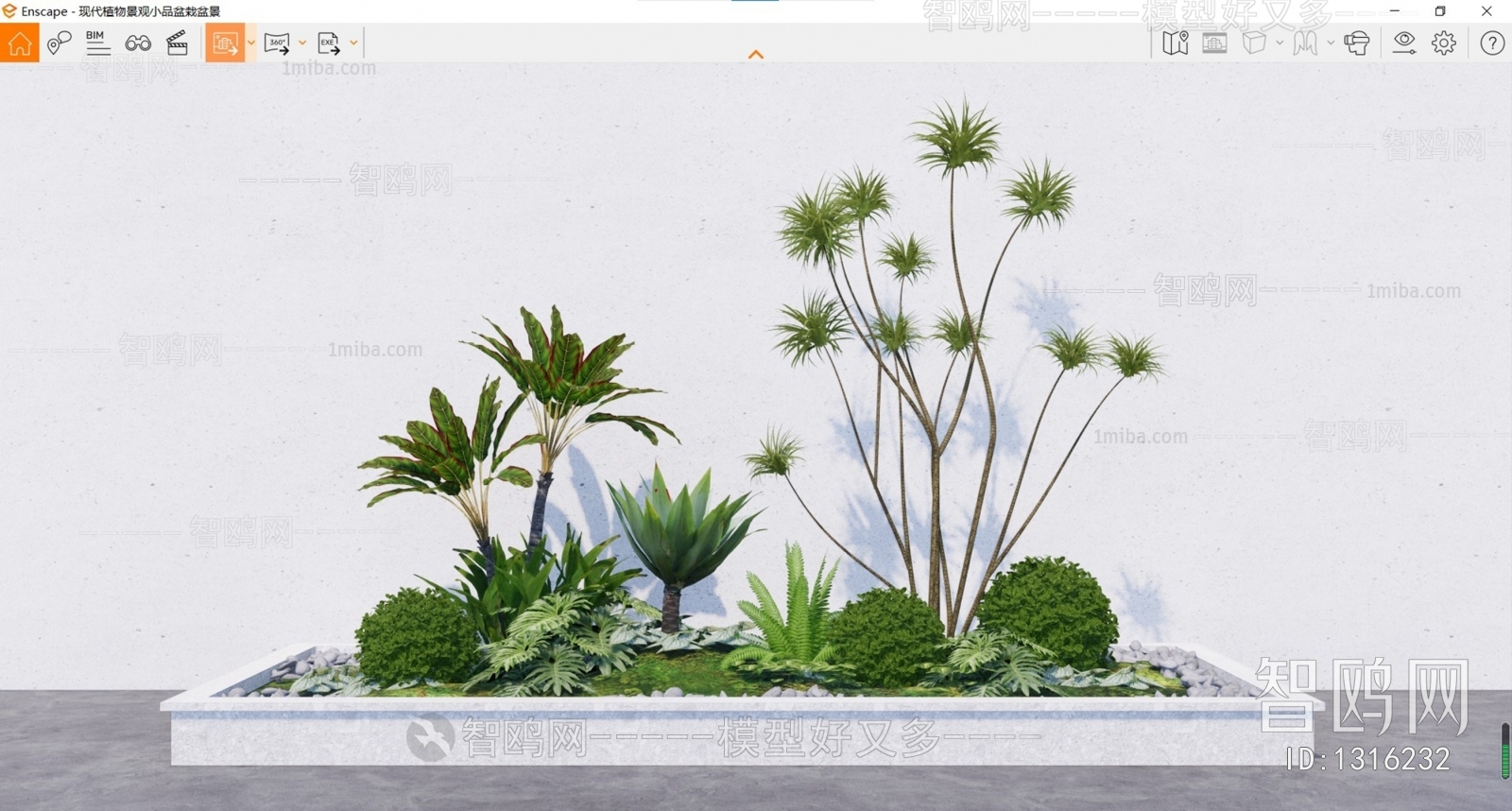 现代植物盆栽盆景