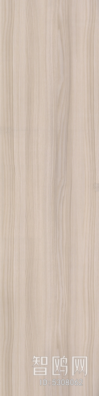 Wood Texture