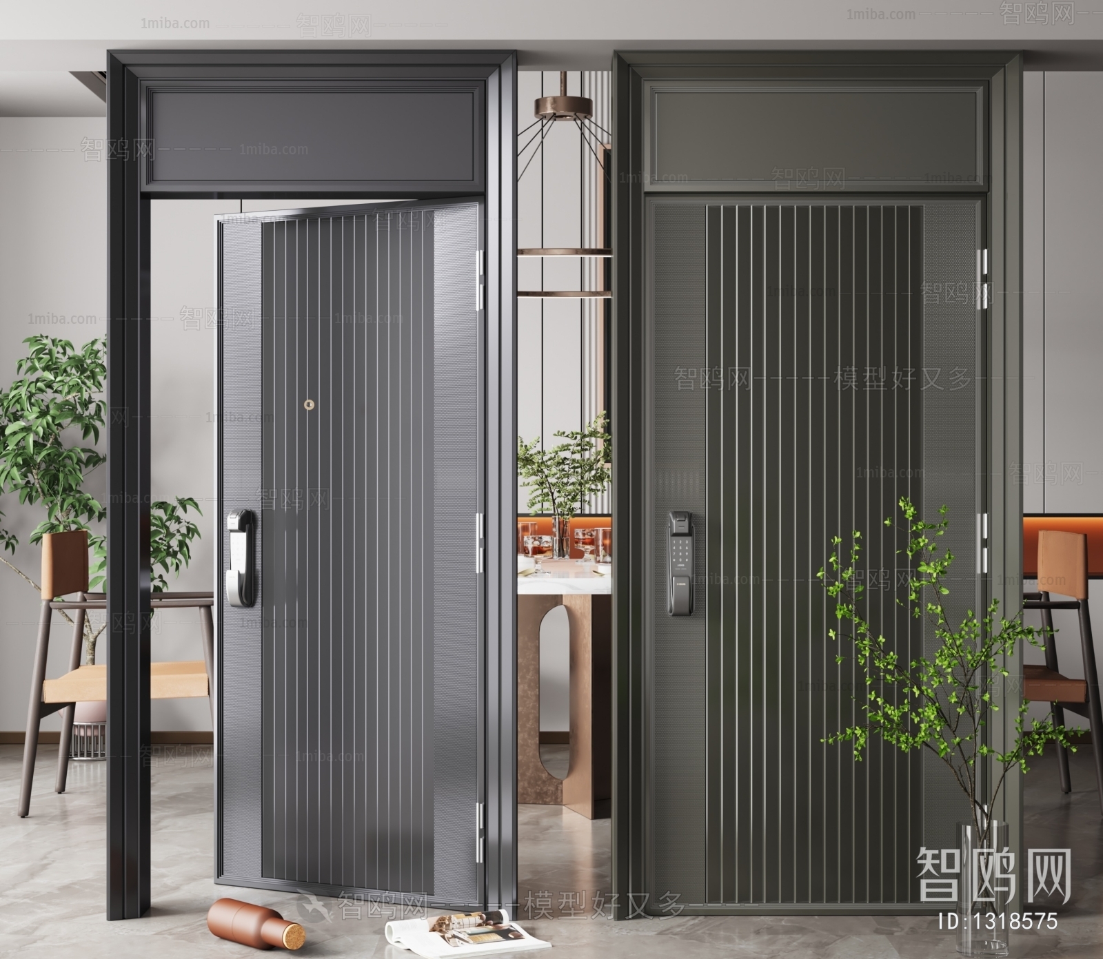 Modern Entrance Door