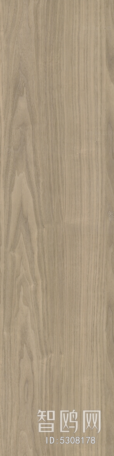 Wood Texture