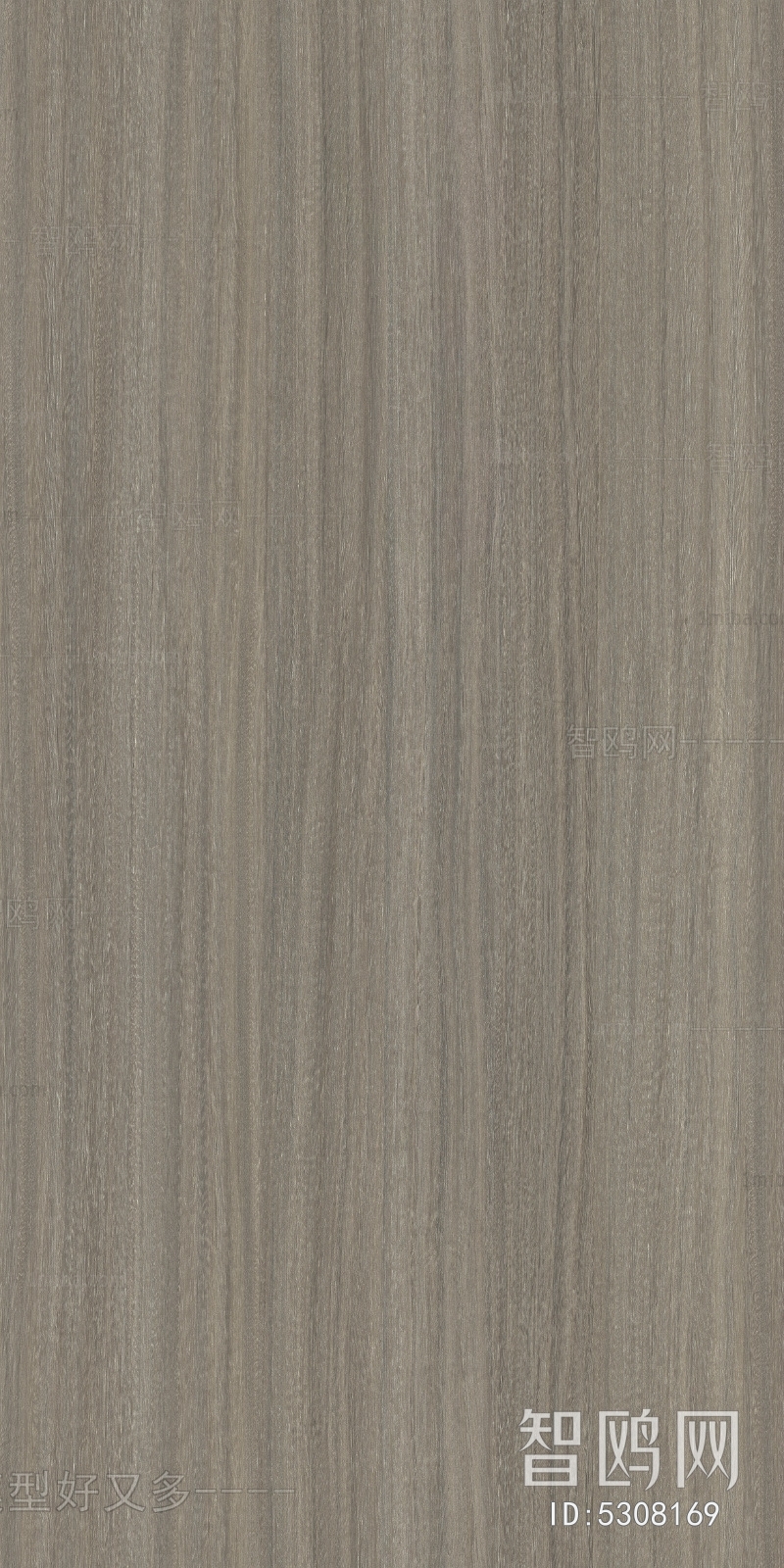 Wood Texture