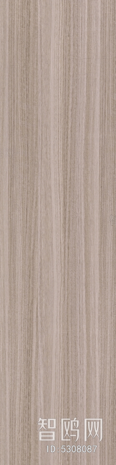 Wood Texture