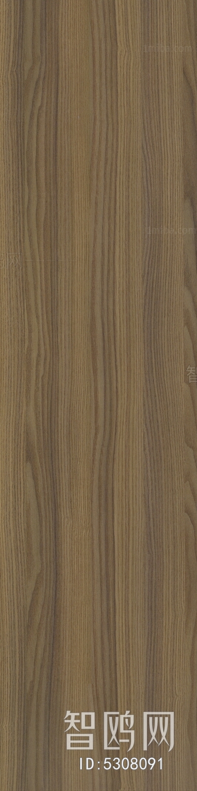 Wood Texture