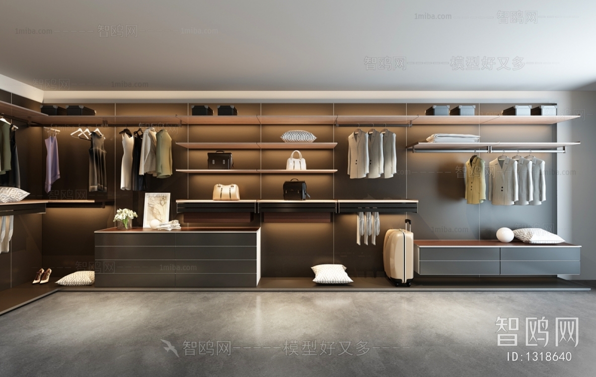 Modern Clothes Storage Area