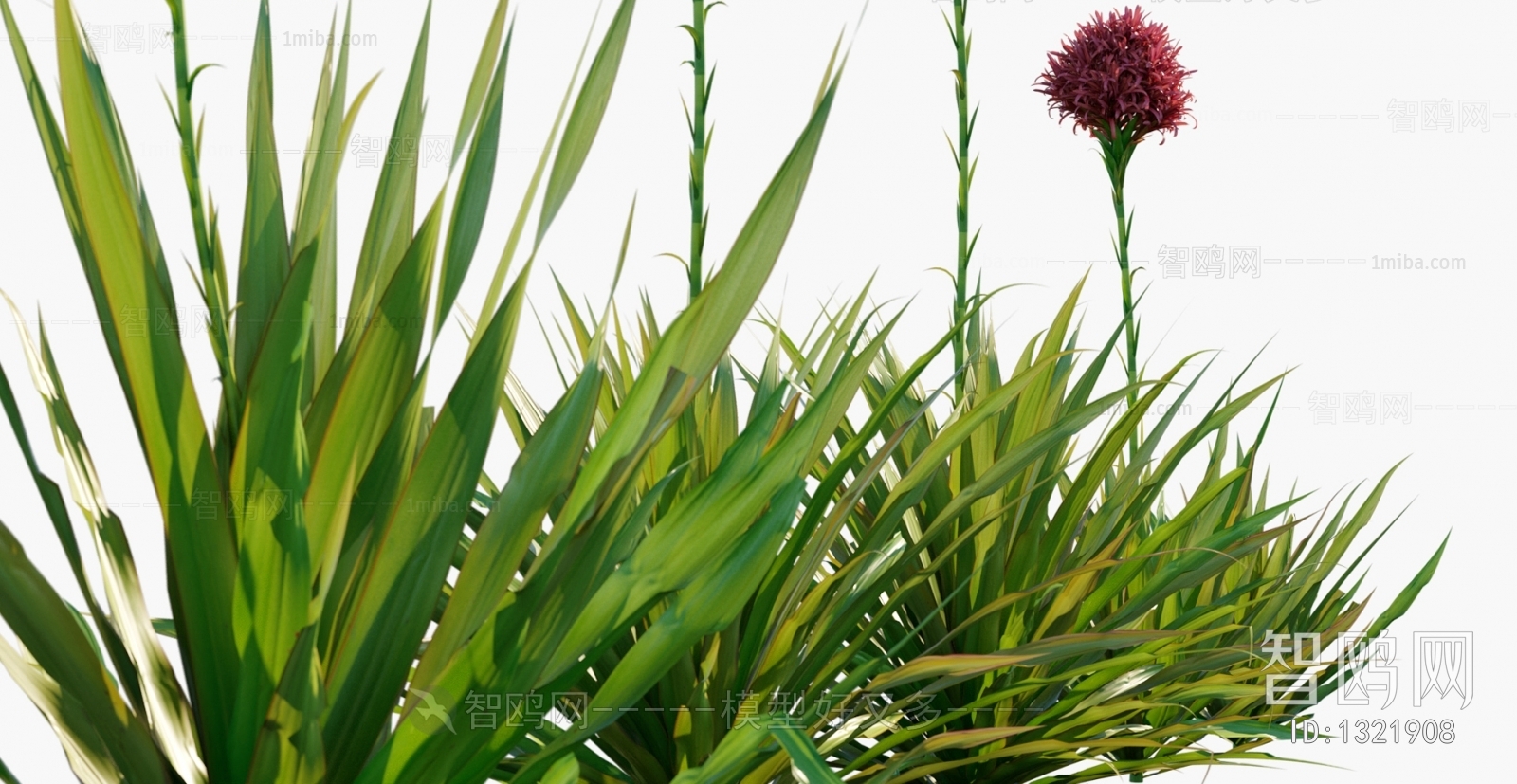 Modern Flowers And Grass