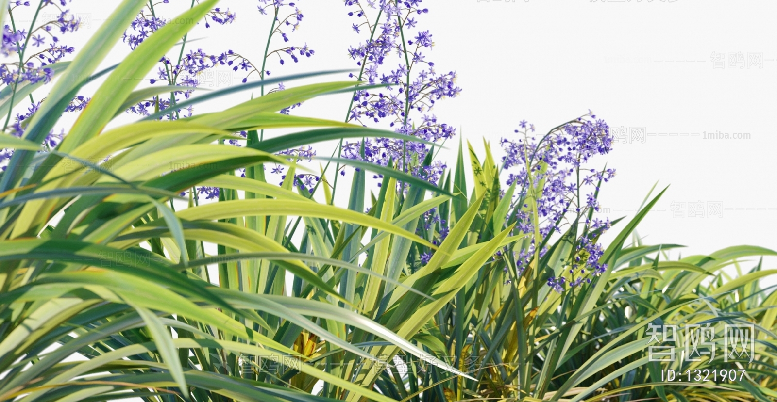 Modern Flowers And Grass