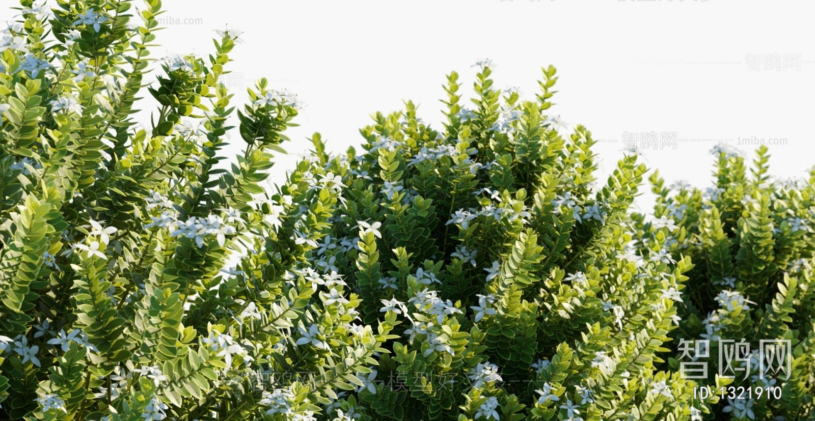 Modern Flowers And Grass