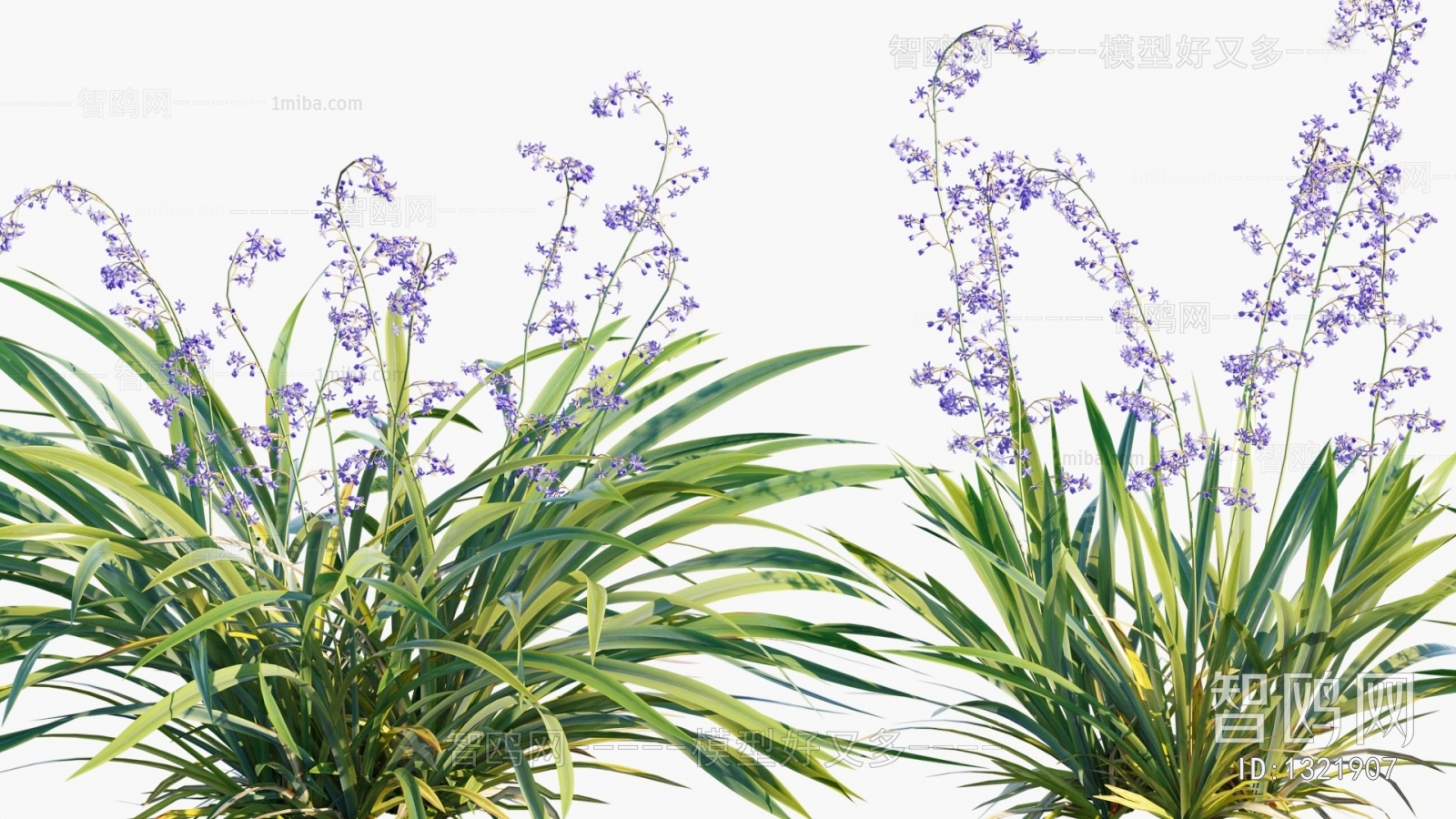 Modern Flowers And Grass