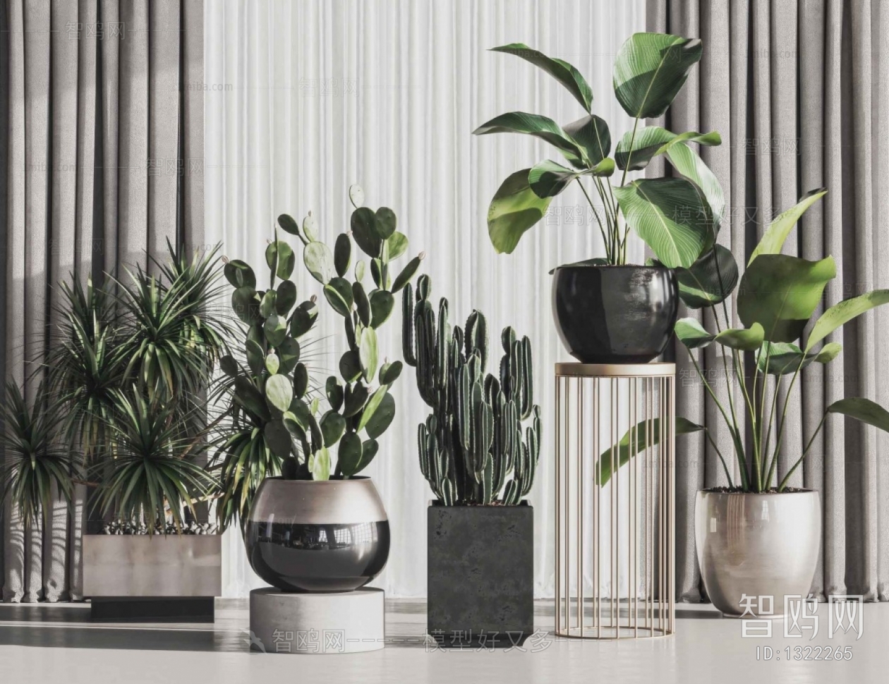 Modern Potted Green Plant