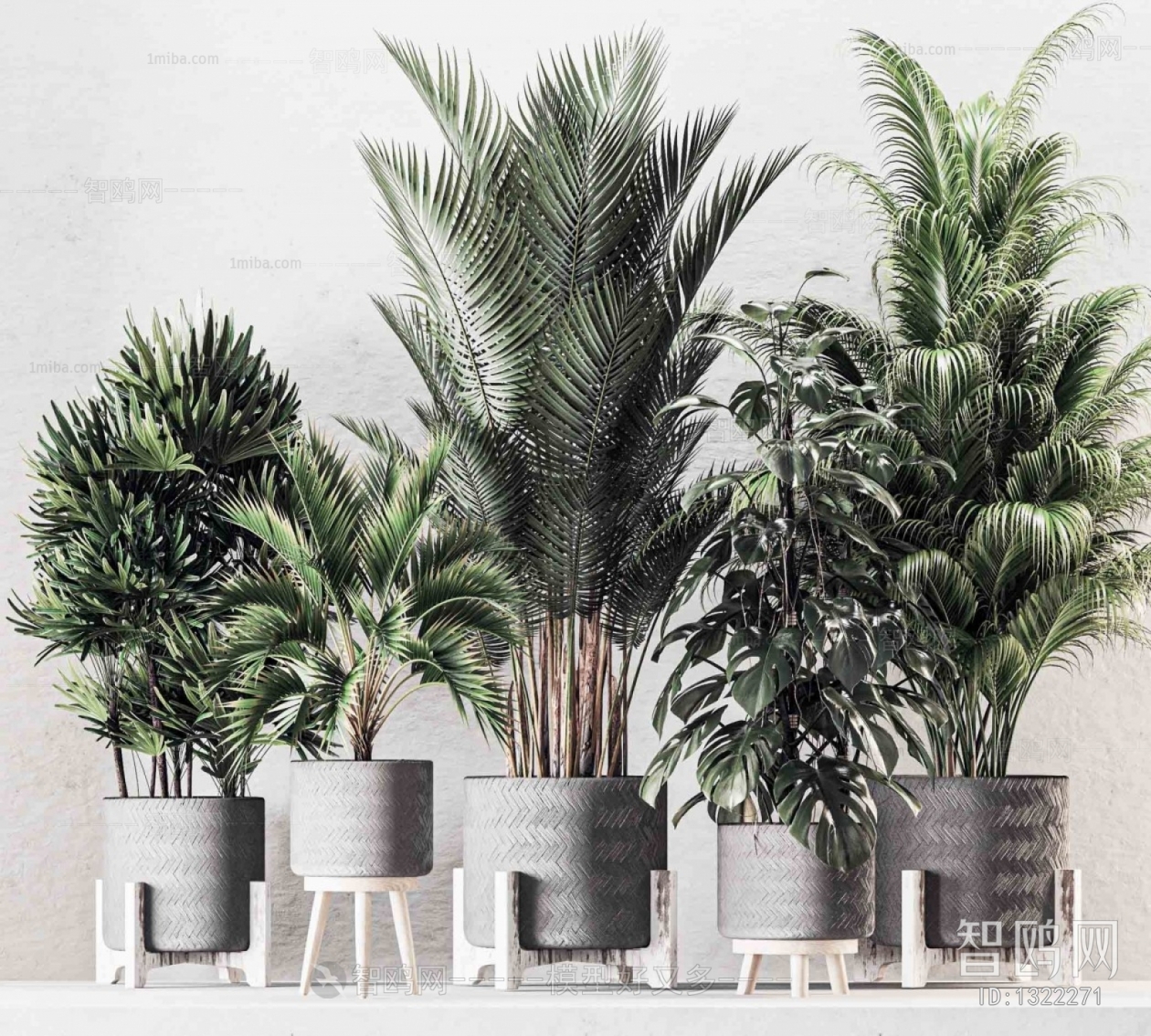 Modern Potted Green Plant