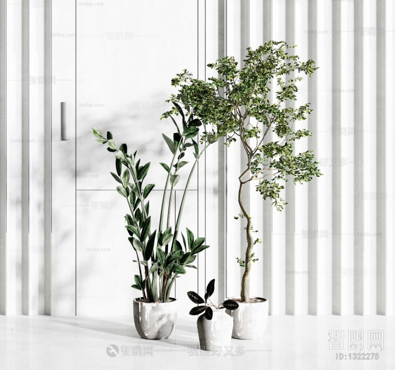 Modern Potted Green Plant