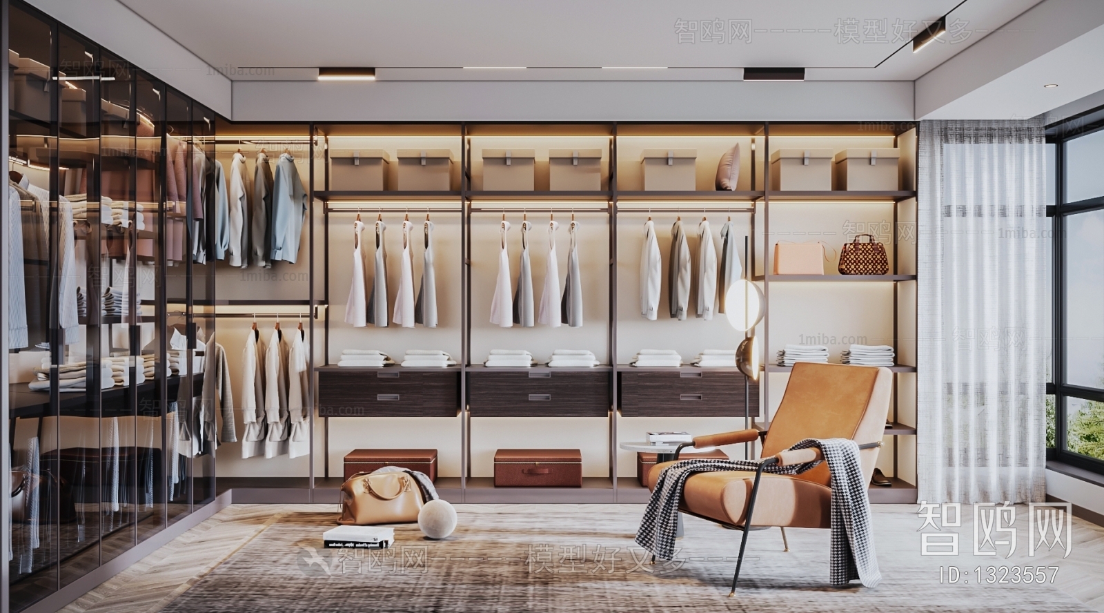 Modern Clothes Storage Area