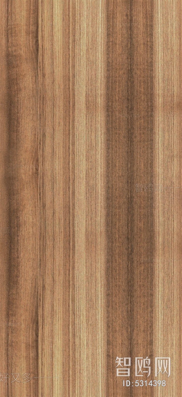 Wood Texture