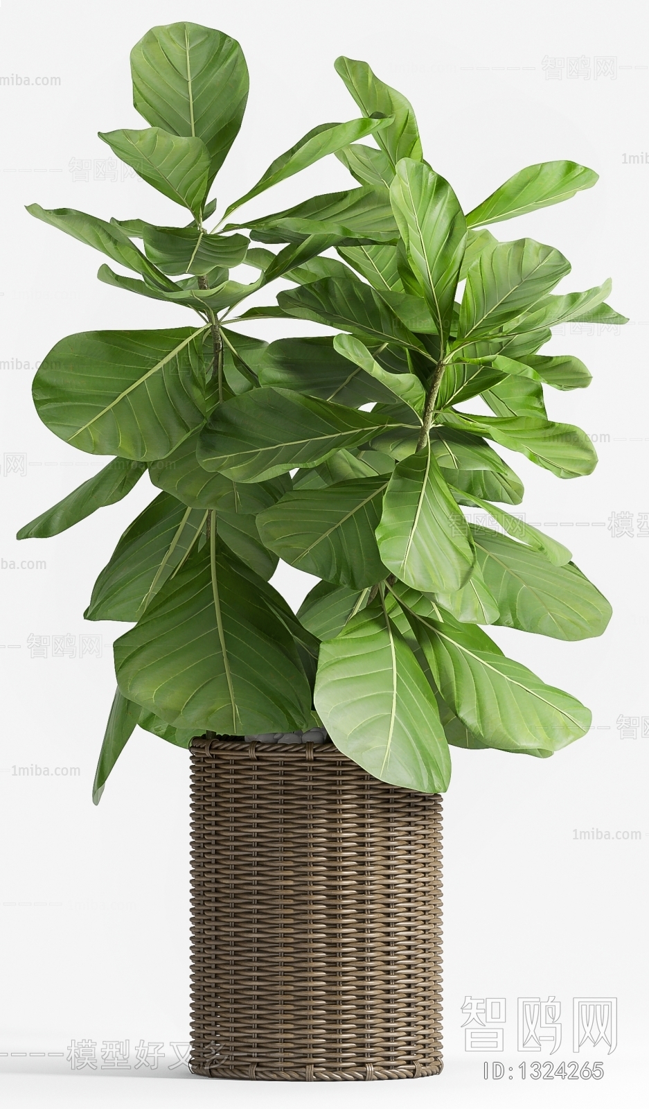 Modern Potted Green Plant