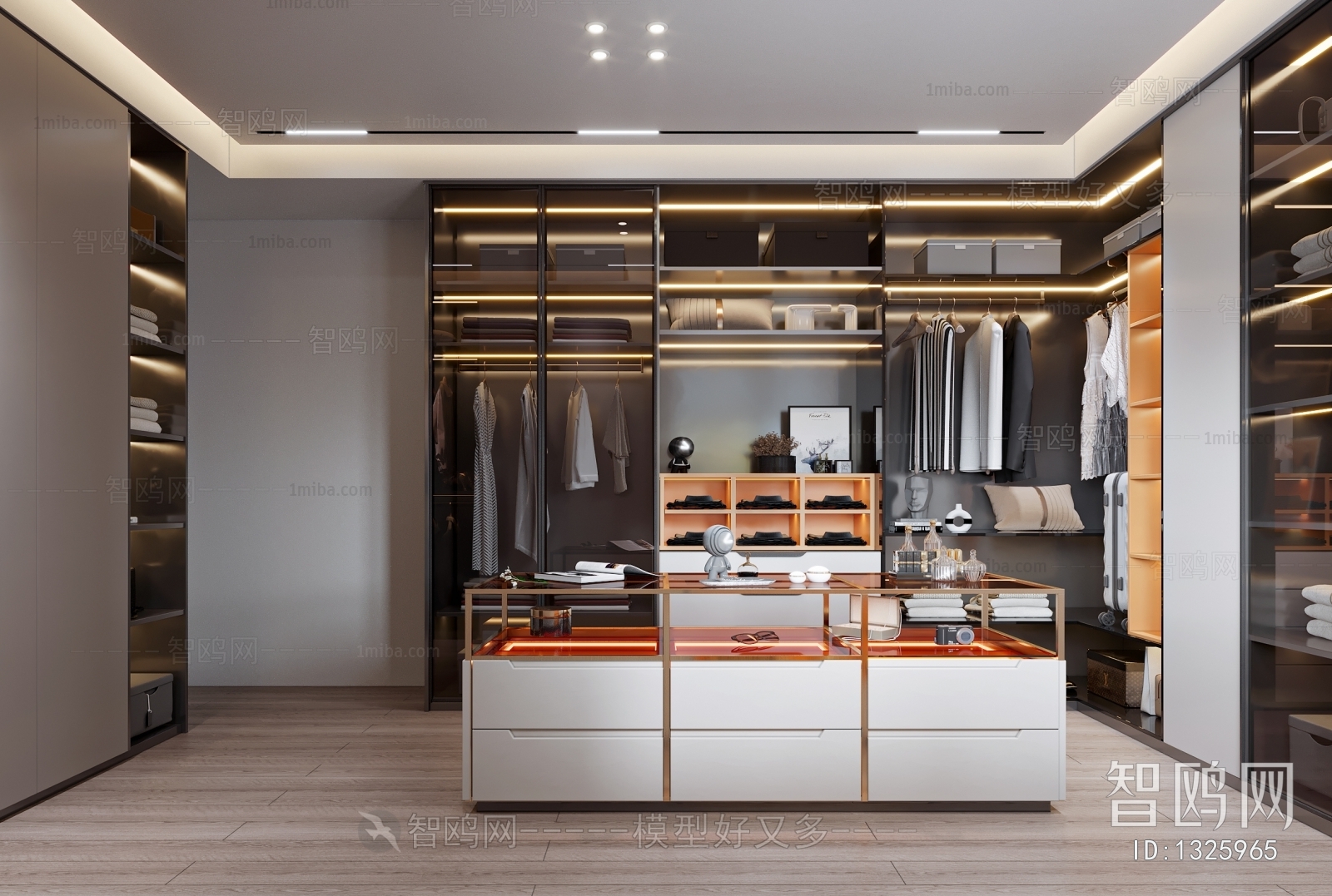 Modern Clothes Storage Area