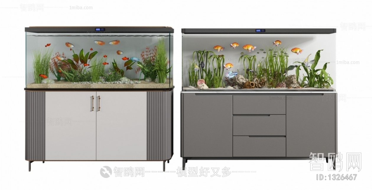 Modern Fish Tank