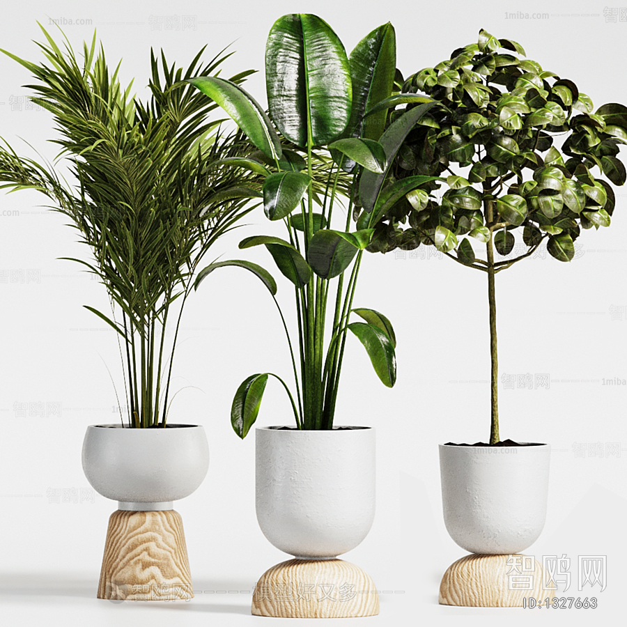 Modern Potted Green Plant