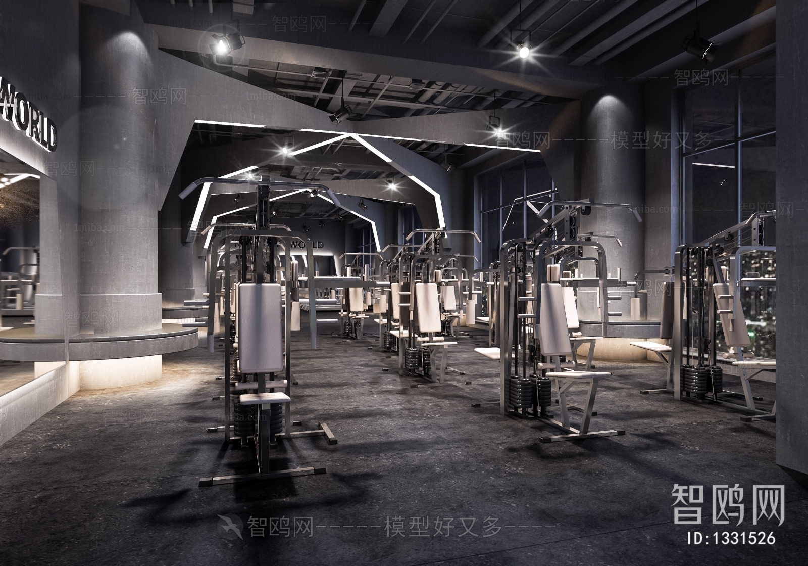 Industrial Style Gym