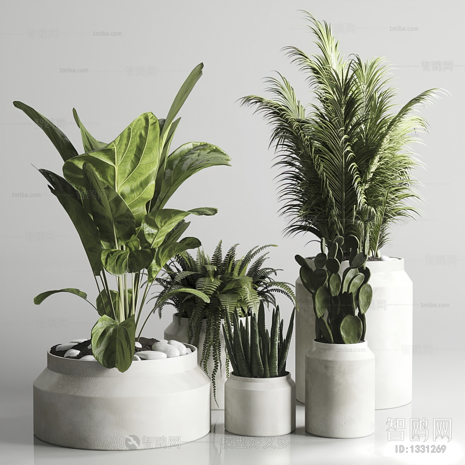 Modern Potted Green Plant