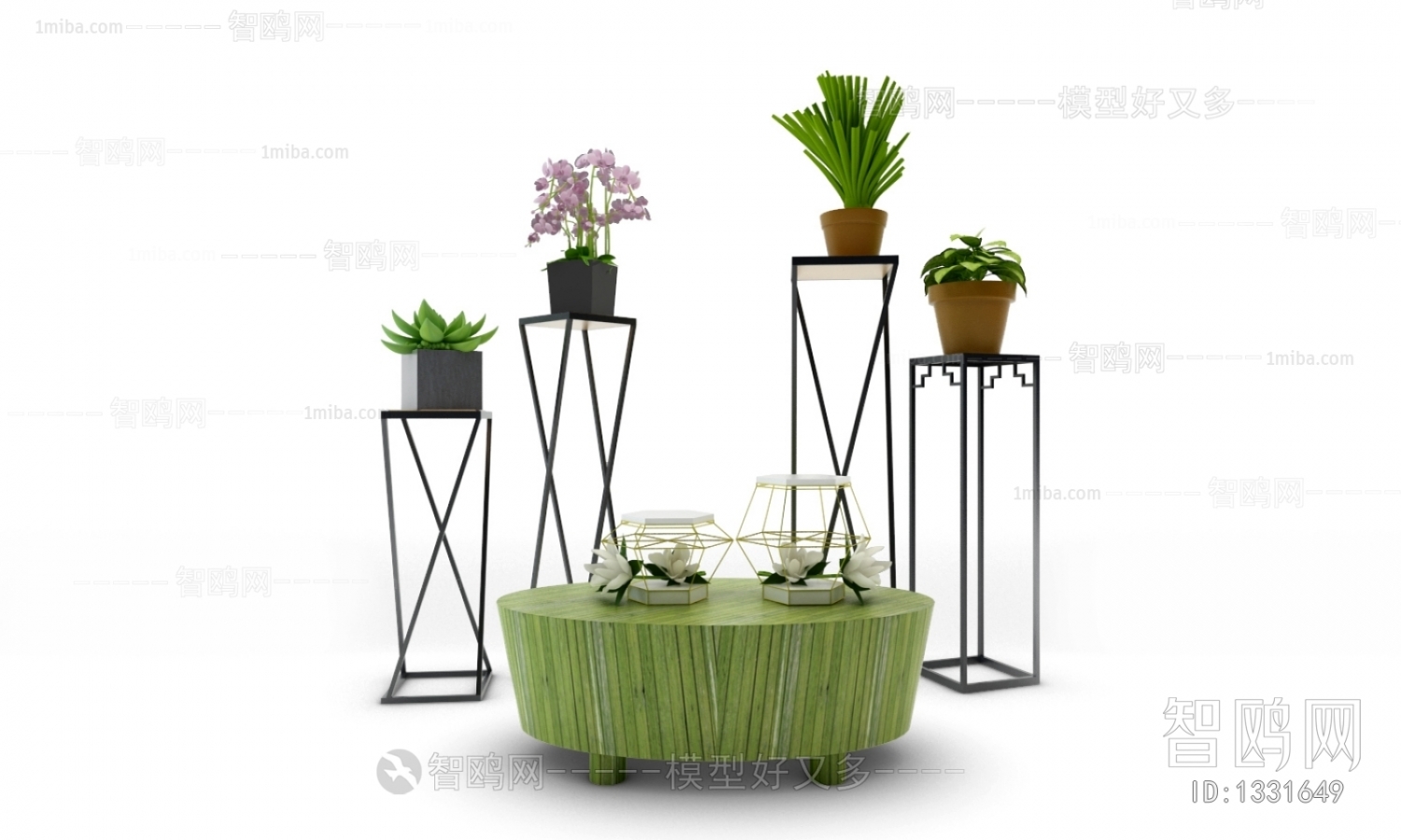 Modern Potted Green Plant