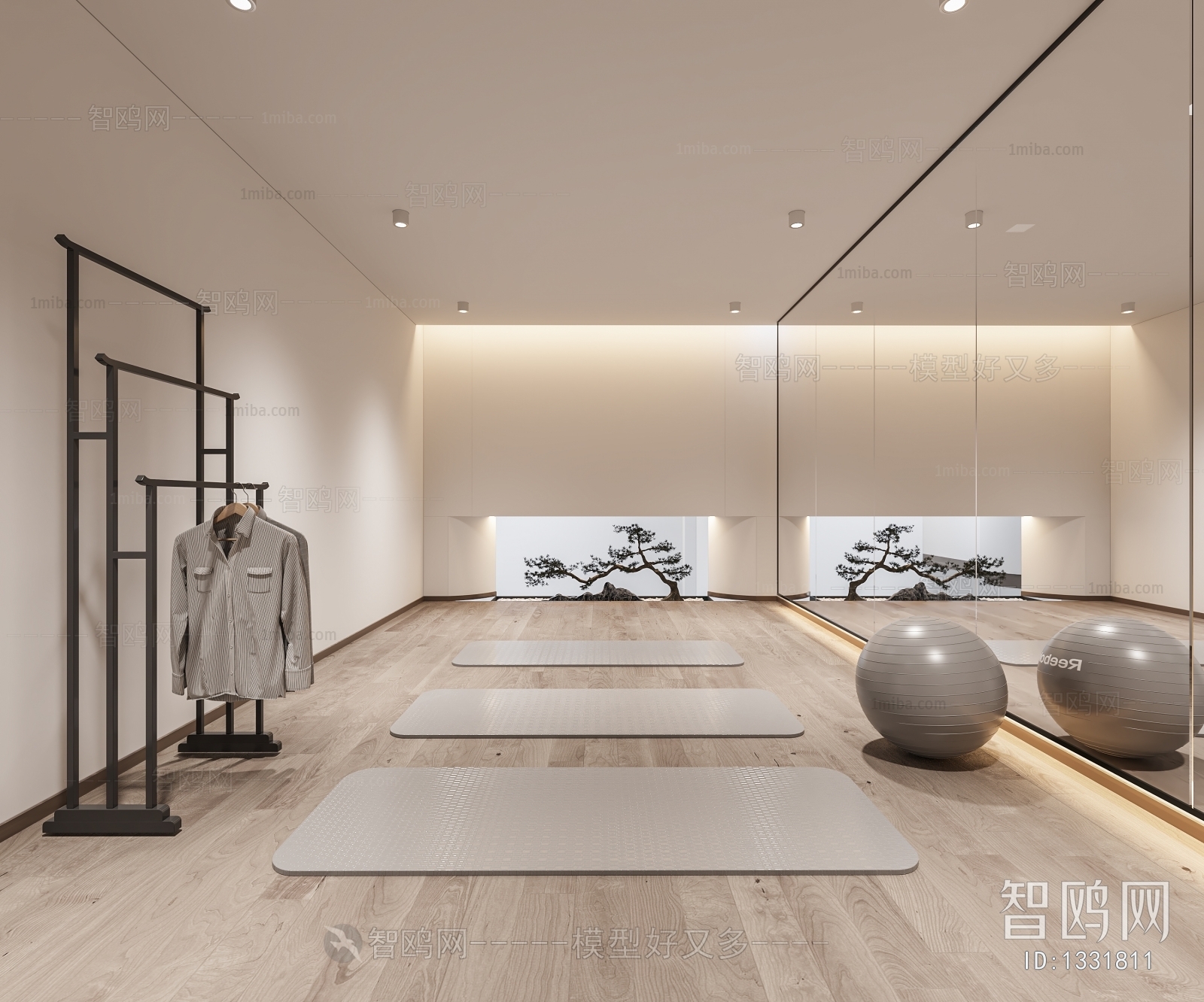 Modern Yoga Room