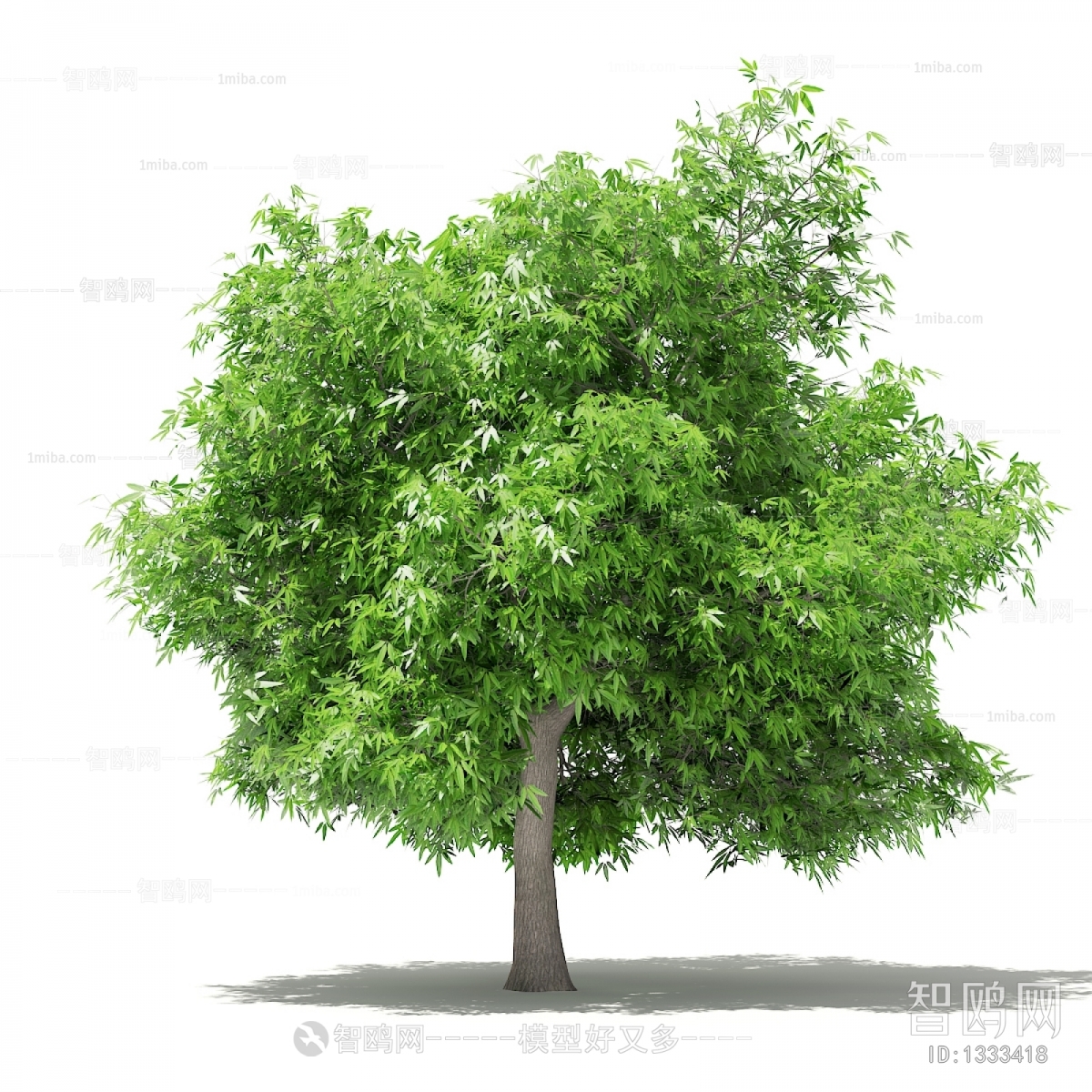 Modern Tree