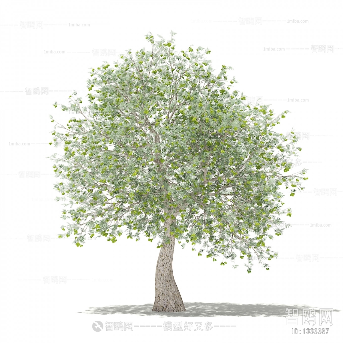 Modern Tree