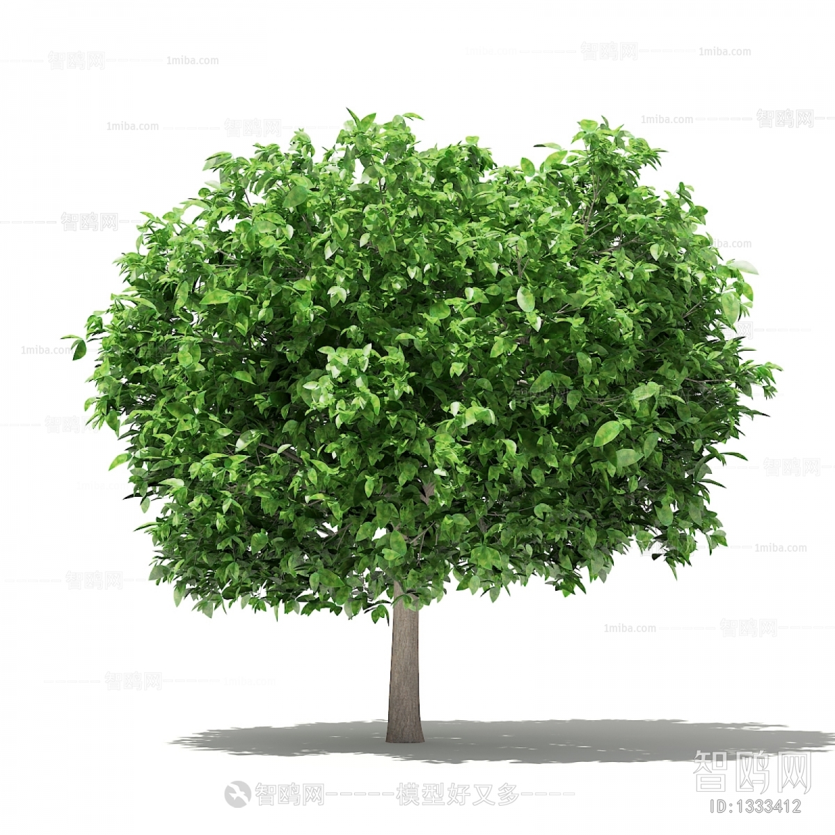 Modern Tree