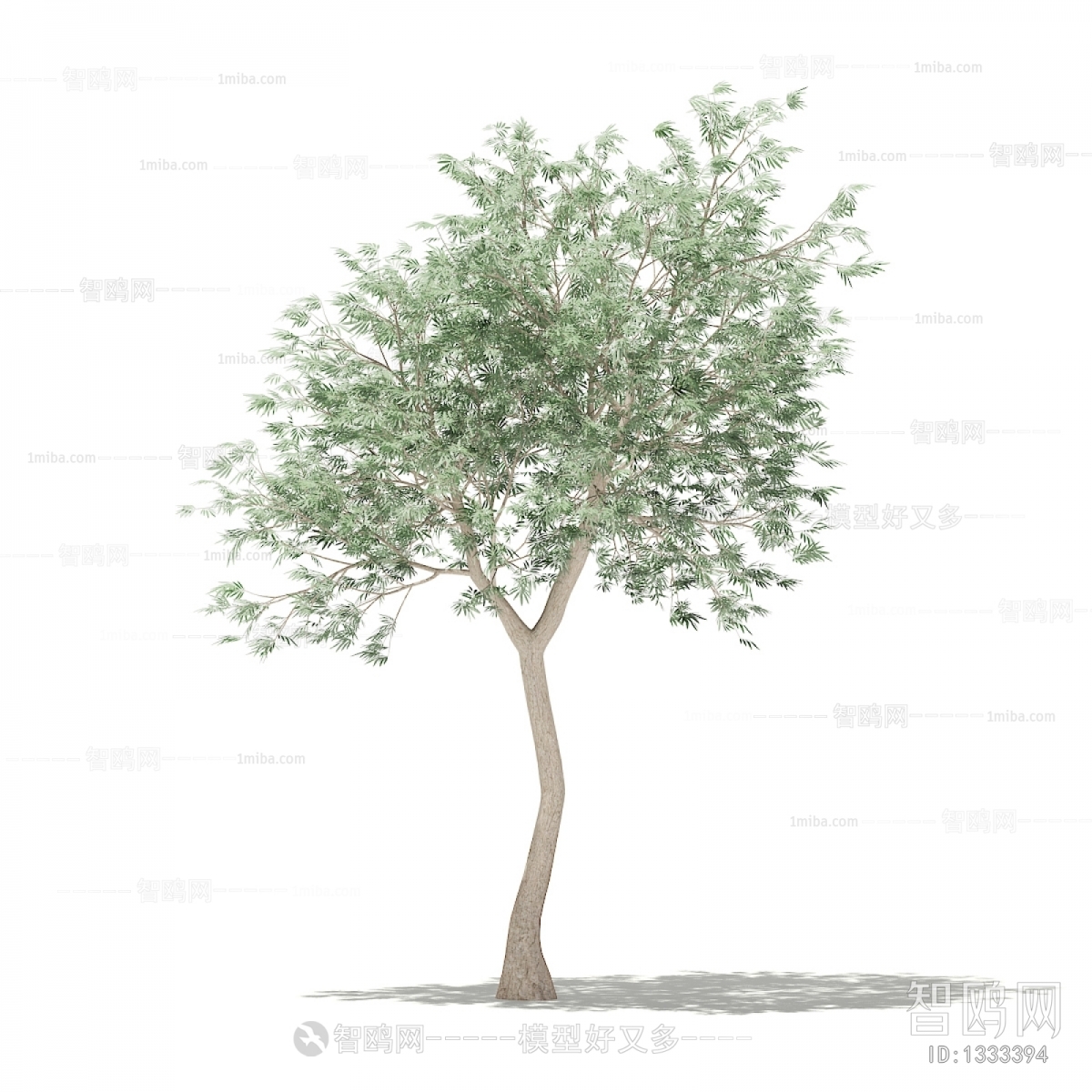 Modern Tree