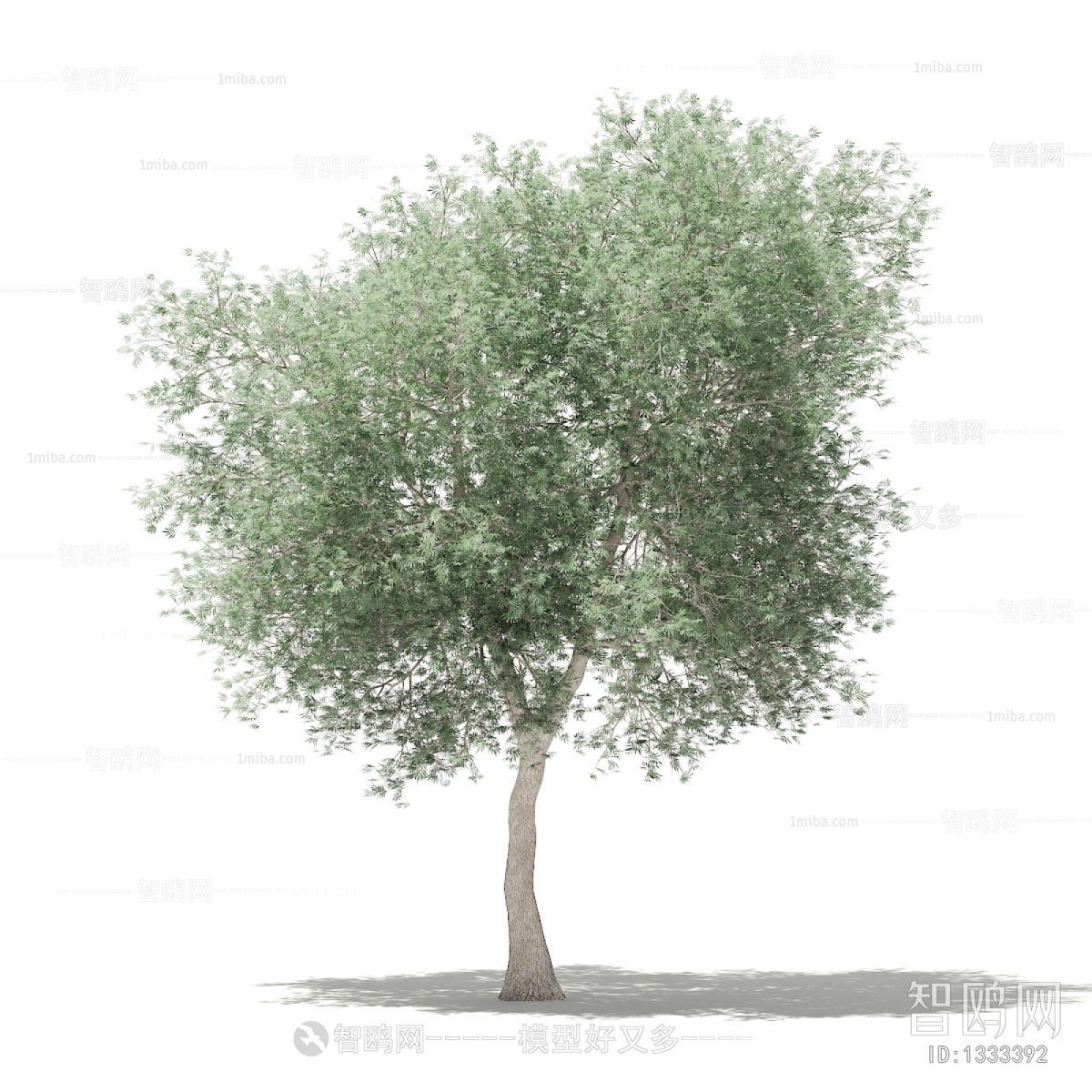 Modern Tree