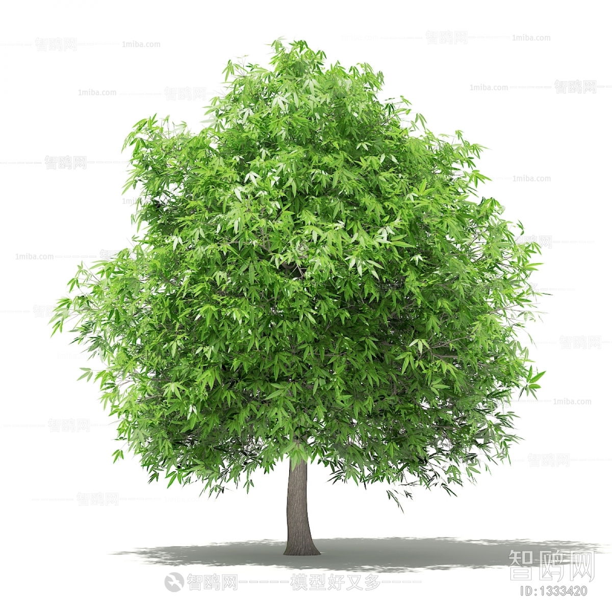 Modern Tree