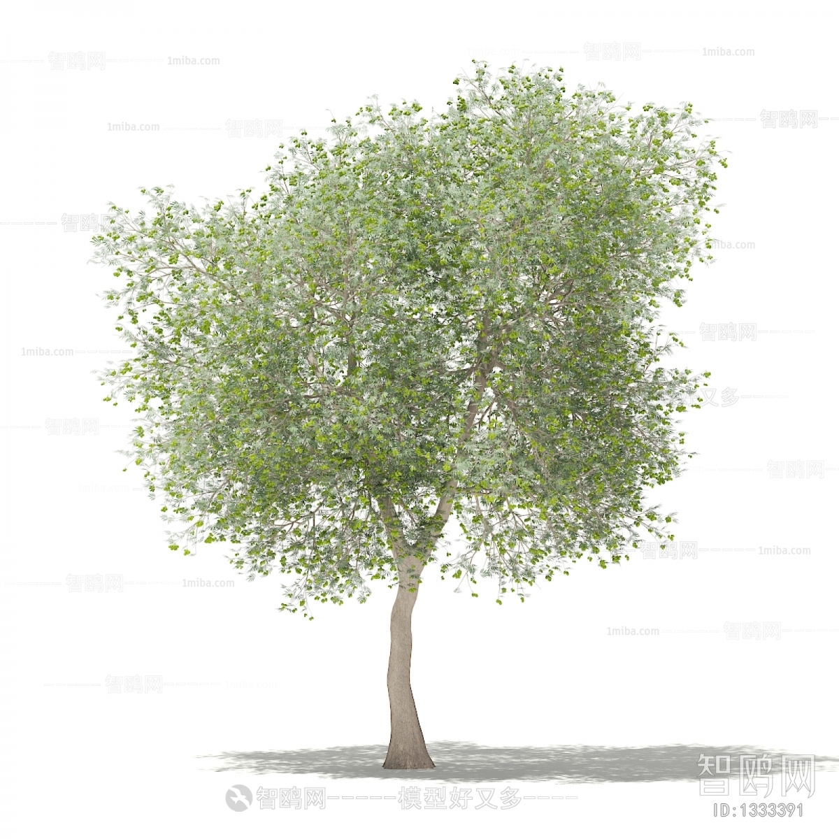 Modern Tree