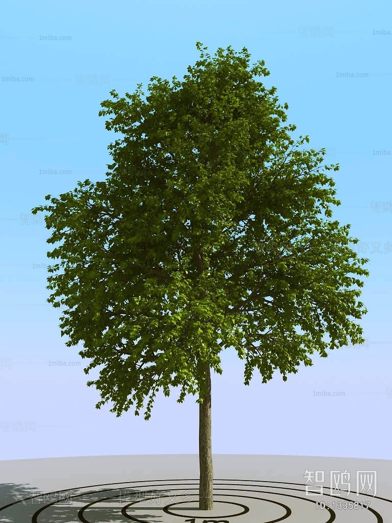 Modern Tree