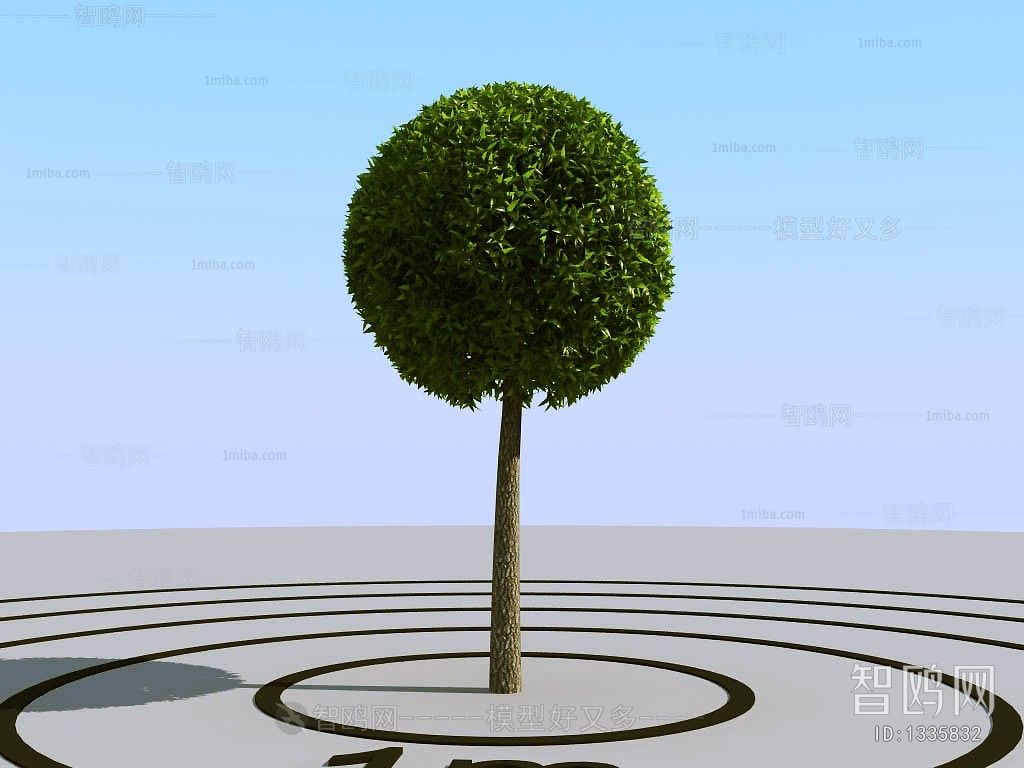 Modern Tree