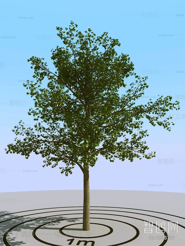 Modern Tree